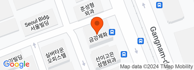 서울 서초구 강남대로 441 (서초동, 서산빌딩) 서산빌딩 12층 디아이성형외과